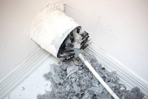 Best Air Duct Cleaning Company Near Me  in The Colony, TX